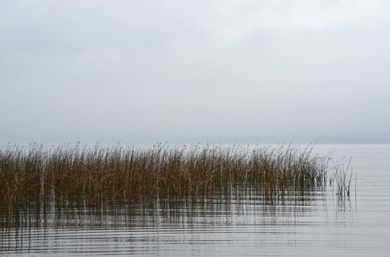 OctoberMorningMists4