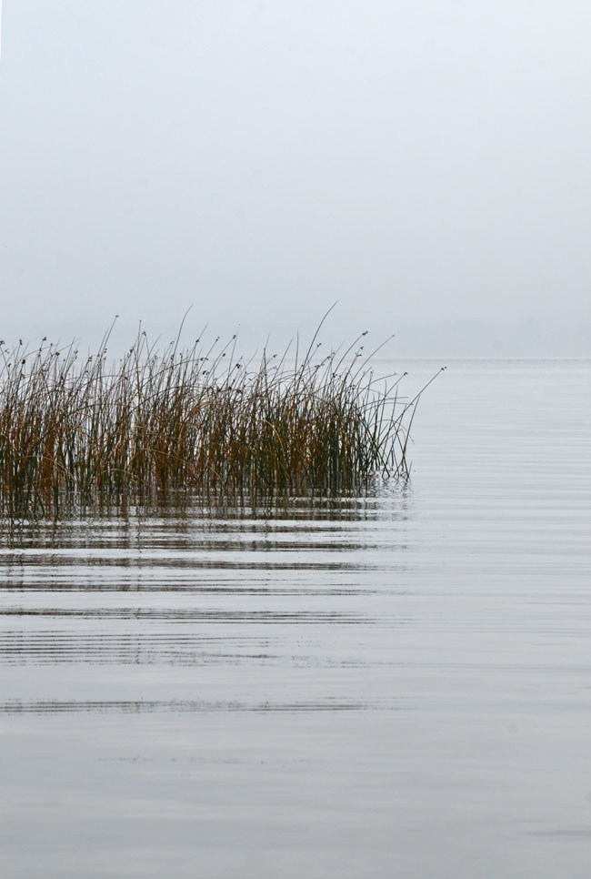 OctoberMorningMists9