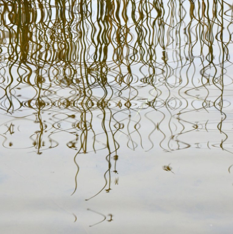 RippledReflections2