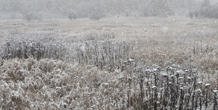 AutumnFieldsinSnowfall2