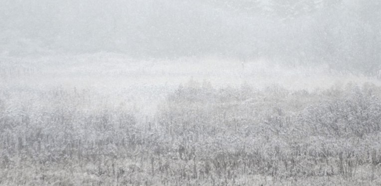 AutumnFieldsinSnowfall6