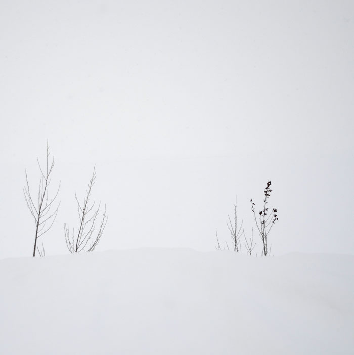 WhiteOut2