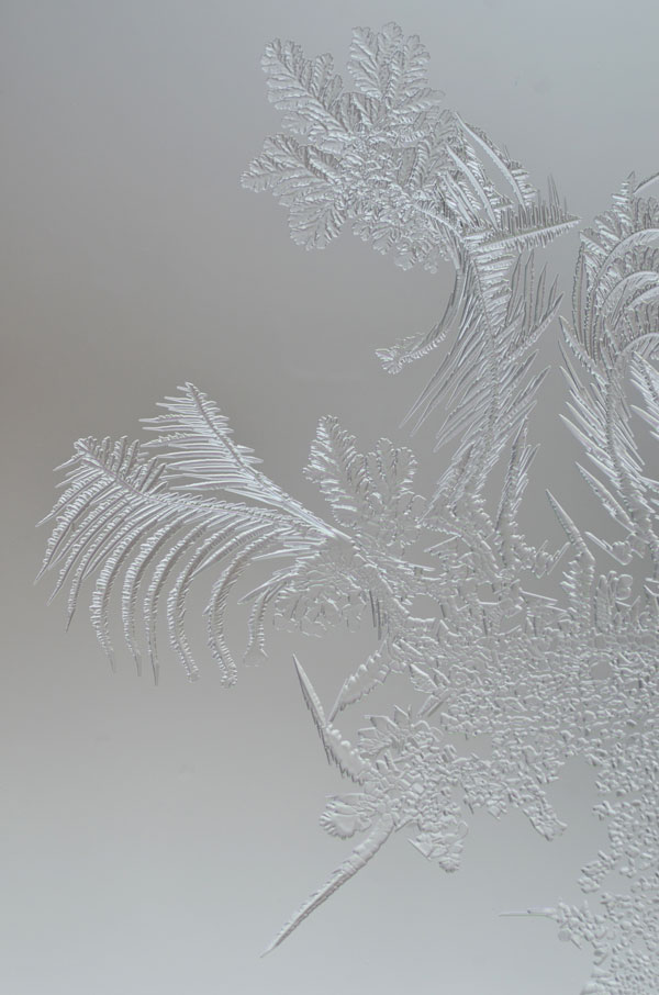 WindowFrostGarden3