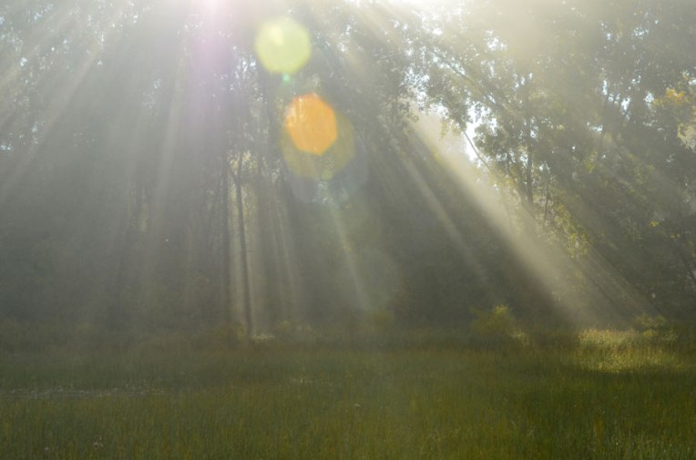 Breaking-Through-Fog-8