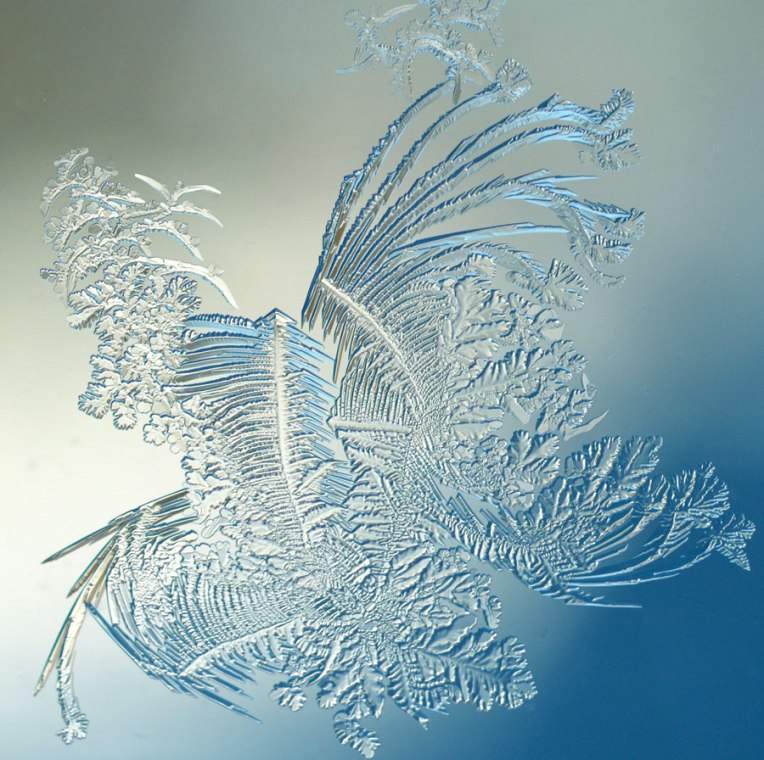 WindowFrost_Crystals3
