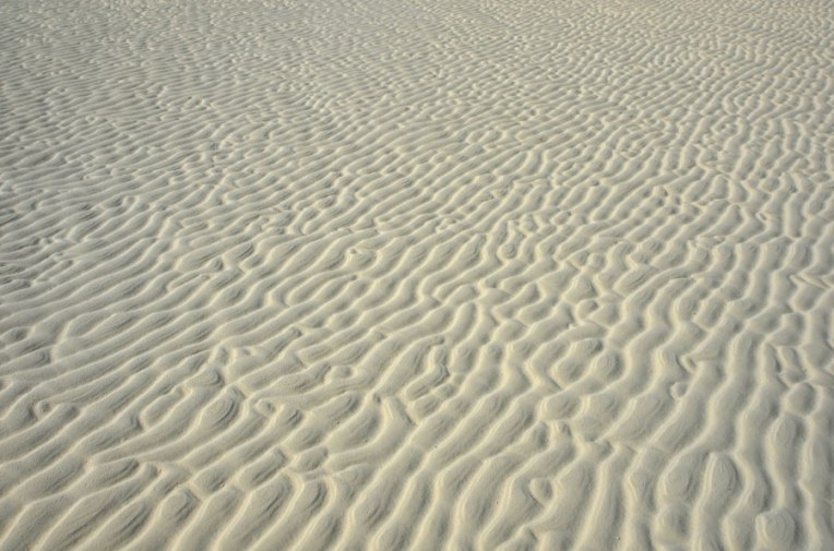 SandbarRipples5