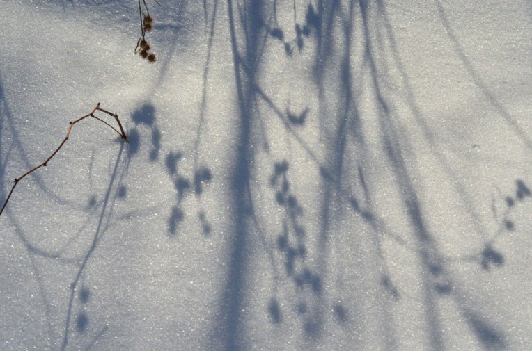 SnowShadows1