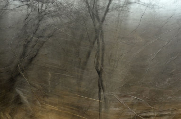 The-Bones-of-Autumn3