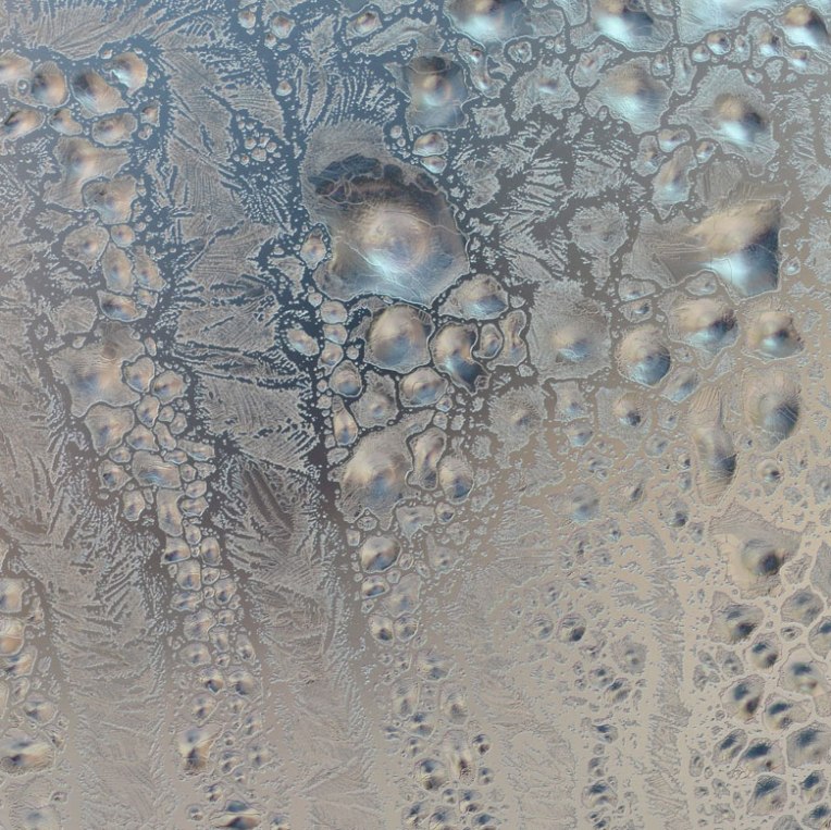 SeedPearls(WindowFrost)1