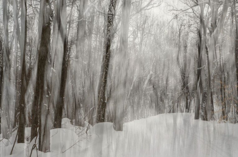sketching-the-landscape-_Gatineau-Park1