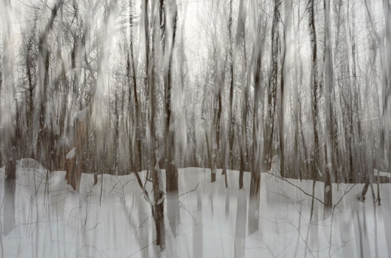 sketching-the-landscape-_Gatineau-Park2