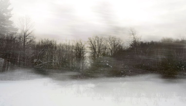 sketching-the-landscape-_Gatineau-Park4