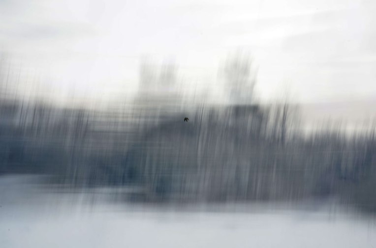 sketching-the-landscape-_Gatineau-Park6