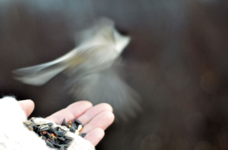 InandOutof-the-Hand10