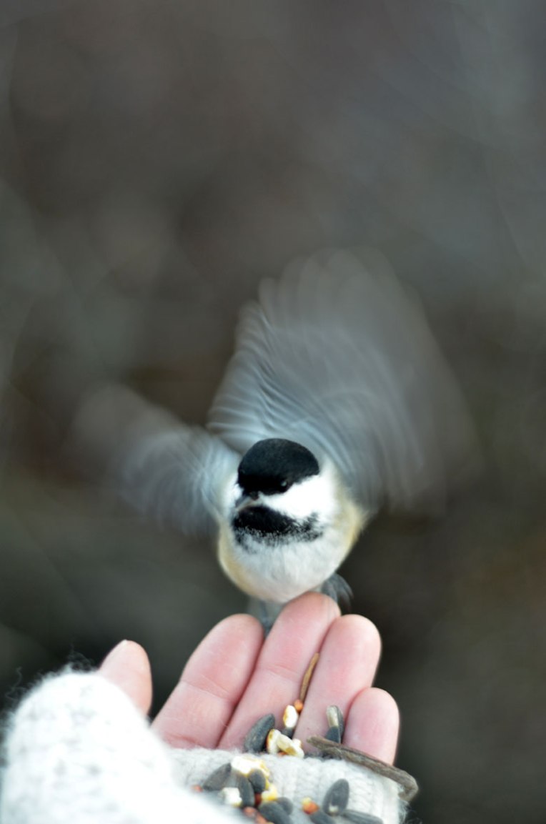 InandOutof-the-Hand8