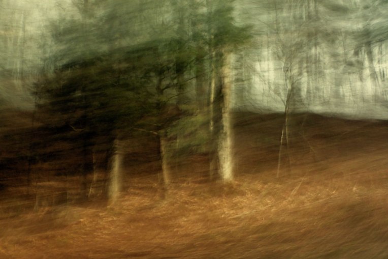 SpringRoadsideSketch1