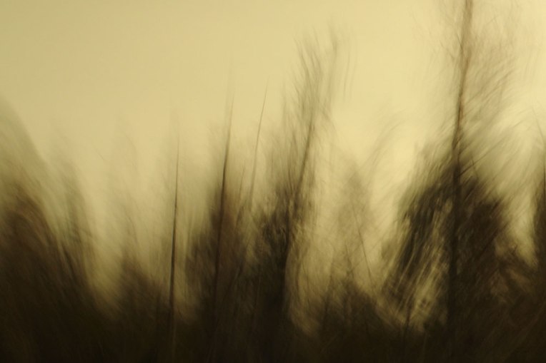 SpringRoadsideSketch6